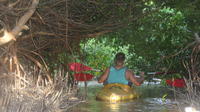 Sunset Kayaking at Mangrove Lagoon from Merida