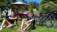 Gibbston Valley Bike Ride with Winery Cave Tour and Lunch