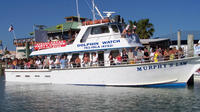 Dolphin Watch Eco Tour of South Padre Island