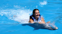 Dolphin Swim Adventure at Gulf World Marine Park