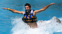 Royal Dolphin Swim at Gulf World Marine Park