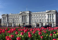 Royal London-tur herunder Buckingham Palace Royal London-tur herunder Buckingham Palace