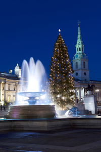 Visite des lumières de Londres la veille de Noël en compagnie du père Noël