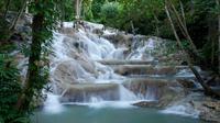 Half Day Tour of Dunn's River Falls