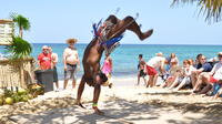 Island Tour and Bamboo Beach Break