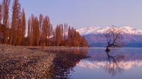 Full-Day Historical Arrowtown and Wanaka Tour from Queenstown