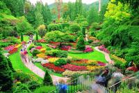 Private Tour: Butchart Gardens and Saanich Peninsula