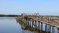 Bird Watching in Karavasta Lagoon