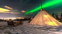 Overnight Stay in Lavvu, Northern Lights and Reindeer Sledding in Tromso