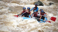 Full-Day Padas River White Water Rafting Grade III-IV Including Lunch from Kota Kinabalu