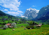 2-Day Jungfraujoch Top of Europe Tour from Zurich: Interlaken or Grindelwald