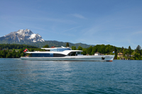 Excursion d'Une journée au départ de Zurich, y compris juin croisière sur le lac de Lucerne