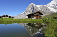 Excursion d'Une journée dans les Alpes de l'Oberland bernois au départ de Lucerne: Kleine Scheidegg et panorama du Jungfraujoch