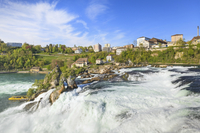 Excursion des chutes du Rhin au départ de Zurich