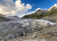 Tour d'Une journée dans les Alpes suisses en petit groupe au départ de Zurich