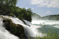 Visite privée: excursion des chutes du Rhin au départ de Zurich
