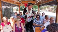 Historic Overview of Savannah Trolley Tour