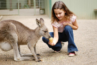 Éco-visite de 3 jours en petit groupe Dans les Montagnes Bleues et la Hunter Valley