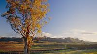 Sydney Combo: Deluxe Hunter Valley Wineries and Wilderness Small-Group Tour plus Half-Day Sydney Sightseeing Tour image 1 Sydney Combo: Deluxe Hunter Valley Wineries and Wilderness Small-Group Tour plus Half-Day Sydney Sightseeing Tour image 1
