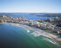 Visite privée : Ku-ring-gai, les plages du Nord et visite touristique de Sydney image 1 Visite privée : Ku-ring-gai, les plages du Nord et visite touristique de Sydney image 1