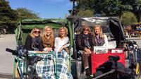 Pedicab Guided Tour of Central Park