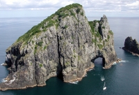 Croisière Cape Brett «Hole in the Rock» au départ d'Auckland