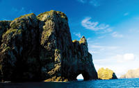 Croisière «Hole in the Rock» Dans la Baie des îles et Cape Brett