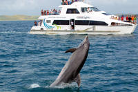 Crucero superior con lo mejor de la bahía: Original Cream Trip Crucero superior con lo mejor de la bahía: Original Cream Trip