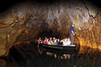 Excursión de un día a las cuevas de Waitomo y Rotorua desde Auckland Excursión de un día a las cuevas de Waitomo y Rotorua desde Auckland