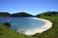 Excursion d'Une journée Dans la Baie des îles au départ d'Auckland