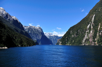 Excursion d'Une journée à Milford Sound, au départ de Queenstown