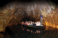 Excursion d'Une journée à Rotorua et aux grottes de Waitomo, au départ d'Auckland