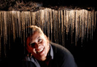 Tour de ida desde Rotorua a Auckland a través de las cuevas Waitomo Glowworm Tour de ida desde Rotorua a Auckland a través de las cuevas Waitomo Glowworm