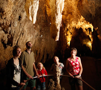 Tour des Grottes de Waitomo au départ d'Auckland