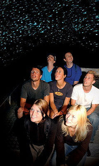 Tour des Grottes de Waitomo au départ de Rotorua