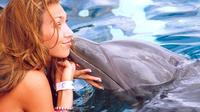 Negril Dolphin Encounter