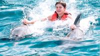 Negril Royal Dolphin Swim