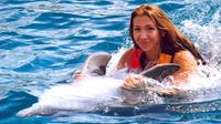 Ocho Rios Dolphin Swim Adventure