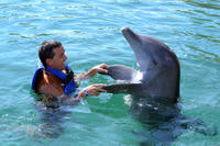 Puerto Aventuras Dolphin Encounter