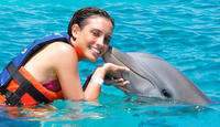 Puerto Aventuras Dolphin Swim
