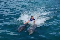 Punta Cana Dolphin Swim Adventure with Optional Upgrade to Royal Dolphin Swim