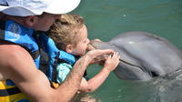  St Kitts Dolphin Encounter