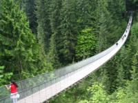 Capilano et Grouse Mountain Excursion littoral Nord de Vancouver Incluant le pont