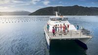 Marlborough Sounds Seafood Cruise from Picton