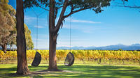 Marlborough Wine Tour and Cruise from Picton or Blenheim