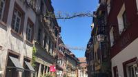 Ganztägige Tour durch Frankreich, Deutschland und die Schweiz ab Colmar Ganztägige Tour durch Frankreich, Deutschland und die Schweiz ab Colmar