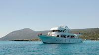 4-stündige Zypern Westküste Bootstour von Limassol 4-stündige Zypern Westküste Bootstour von Limassol