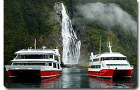 Croisière touristique sur le Milford Sound with déjeuner en option de