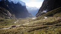 Milford Sound Bus und Bootstour mit internationalem Mittagsbufett Milford Sound Bus und Bootstour mit internationalem Mittagsbufett