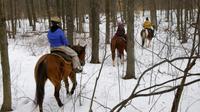 Horseback riding in Cortina d